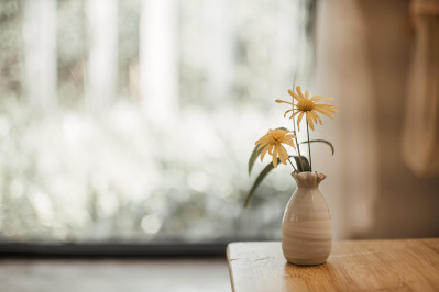 ceramic vase minimalist product